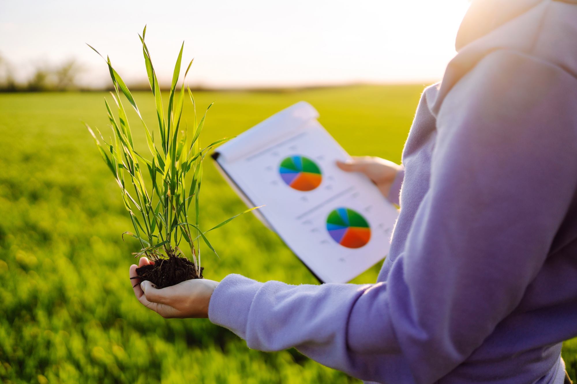 Inwestowanie w grunty